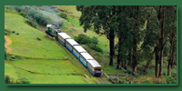 ooty tour